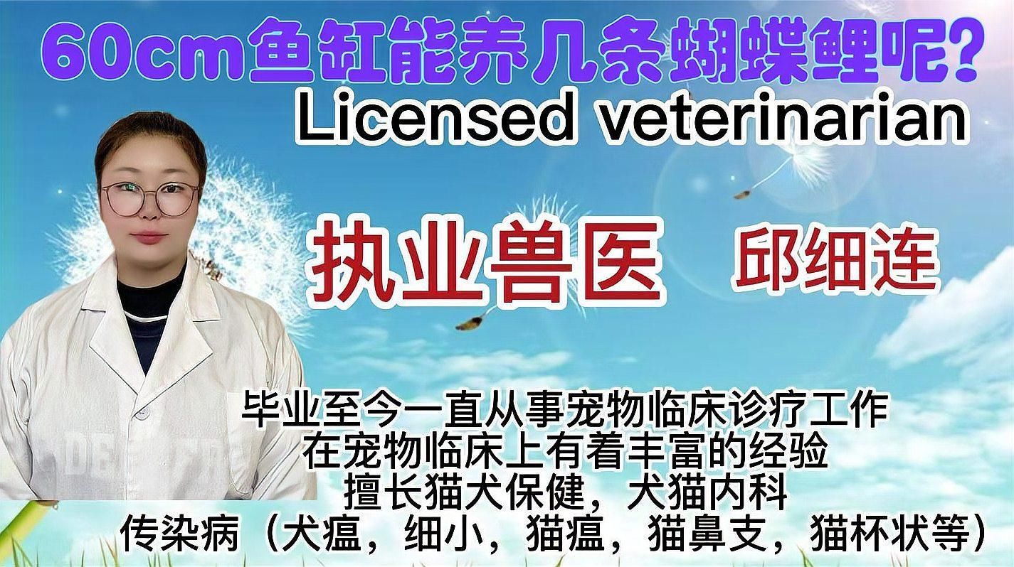 60厘米的魚(yú)缸適合養(yǎng)哪些魚(yú)，0厘米的魚(yú)缸適合養(yǎng)哪些魚(yú)，60厘米的魚(yú)缸搭配方案清單