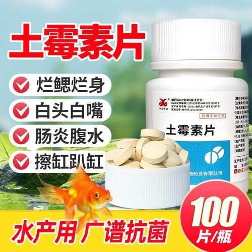 如何正確使用這三種藥物治療龍魚？，如何正確使用三種藥物治療龍魚