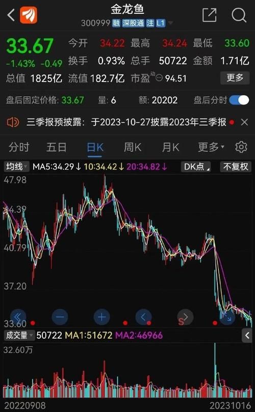 點(diǎn)金龍魚的市場(chǎng)價(jià)格波動(dòng)大嗎？，點(diǎn)金龍魚市場(chǎng)價(jià)格波動(dòng)價(jià)格波動(dòng) 點(diǎn)金龍魚的市場(chǎng)價(jià)格波動(dòng)大嗎？，點(diǎn)金龍魚市場(chǎng)價(jià)格波動(dòng)價(jià)格波動(dòng) 龍魚百科 第2張