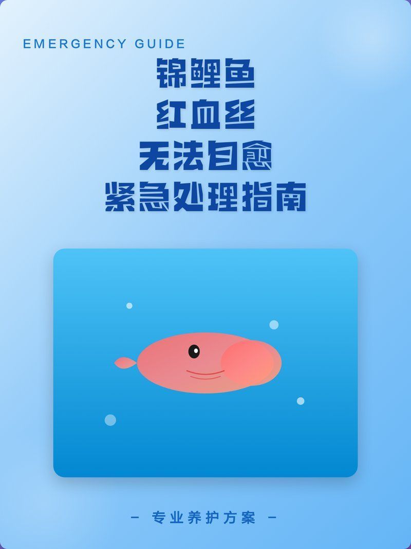 魚身有紅血絲怎么處理，身出現(xiàn)紅血絲是由多種原因造成的，如何預(yù)防魚身紅血絲