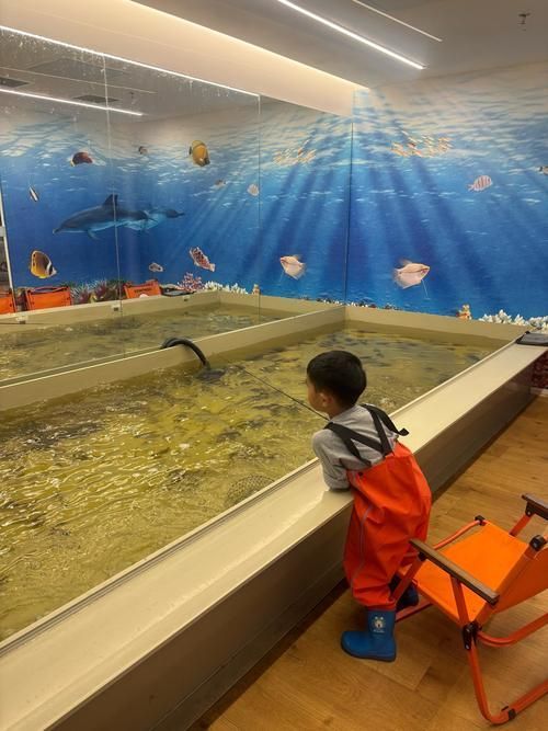 錢龍龍魚體驗館有哪些互動體驗項目，錢龍龍魚體驗館有哪些主要互動體驗項目錢龍龍魚體驗館 錢龍龍魚體驗館有哪些互動體驗項目，錢龍龍魚體驗館有哪些主要互動體驗項目錢龍龍魚體驗館 龍魚百科 第1張