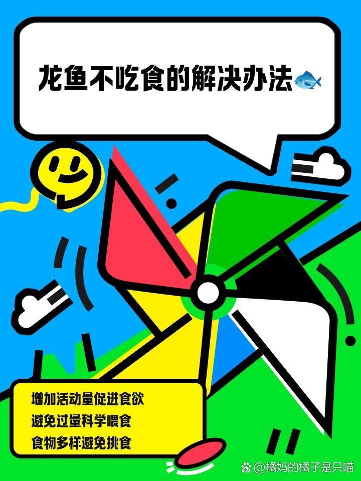 有沒有其他方法刺激龍魚食欲？，龍魚不吃食怎么辦