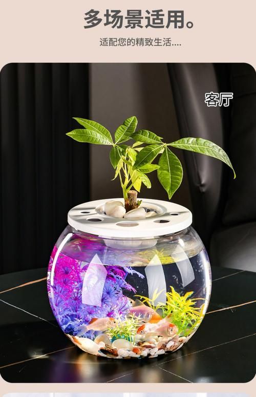 再給我幾種魚缸的圖片詳解，玻璃魚缸選擇對比表 再給我幾種魚缸的圖片詳解，玻璃魚缸選擇對比表 龍魚百科 第15張