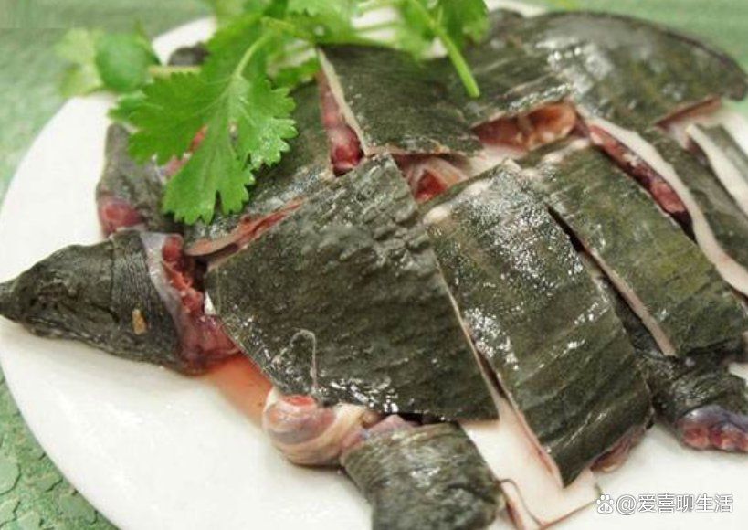 清流龍魚和清鱉的烹飪方法有哪些？，清流溪魚的烹飪方法 清流龍魚和清鱉的烹飪方法有哪些？，清流溪魚的烹飪方法 龍魚百科 第5張
