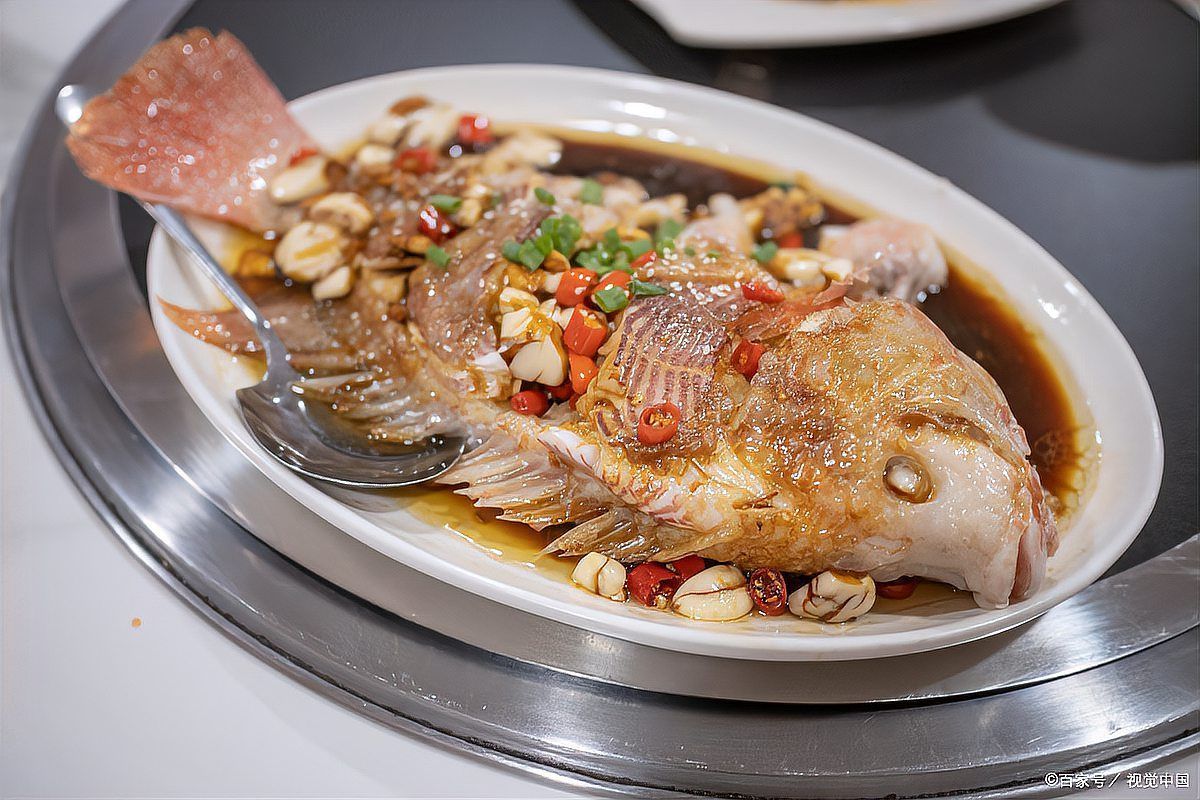 清流龍魚和清鱉的烹飪方法有哪些？，清流溪魚的烹飪方法 清流龍魚和清鱉的烹飪方法有哪些？，清流溪魚的烹飪方法 龍魚百科 第3張