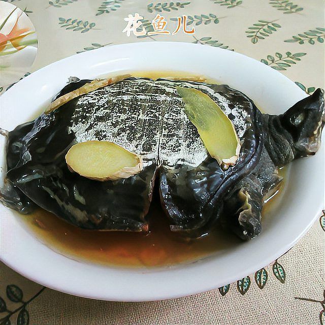 清流龍魚和清鱉的烹飪方法有哪些？，清流溪魚的烹飪方法 清流龍魚和清鱉的烹飪方法有哪些？，清流溪魚的烹飪方法 龍魚百科 第4張