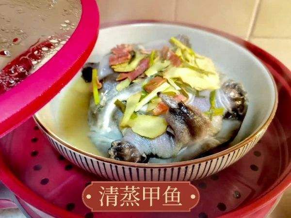 清流龍魚和清鱉的烹飪方法有哪些？，清流溪魚的烹飪方法 清流龍魚和清鱉的烹飪方法有哪些？，清流溪魚的烹飪方法 龍魚百科 第2張