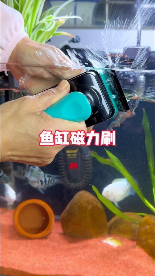 有哪些魚缸清潔工具推薦，水族箱清潔工具推薦