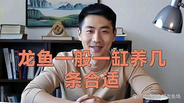 推薦一些龍魚飼養(yǎng)的視頻教程，龍魚飼養(yǎng)視頻教程