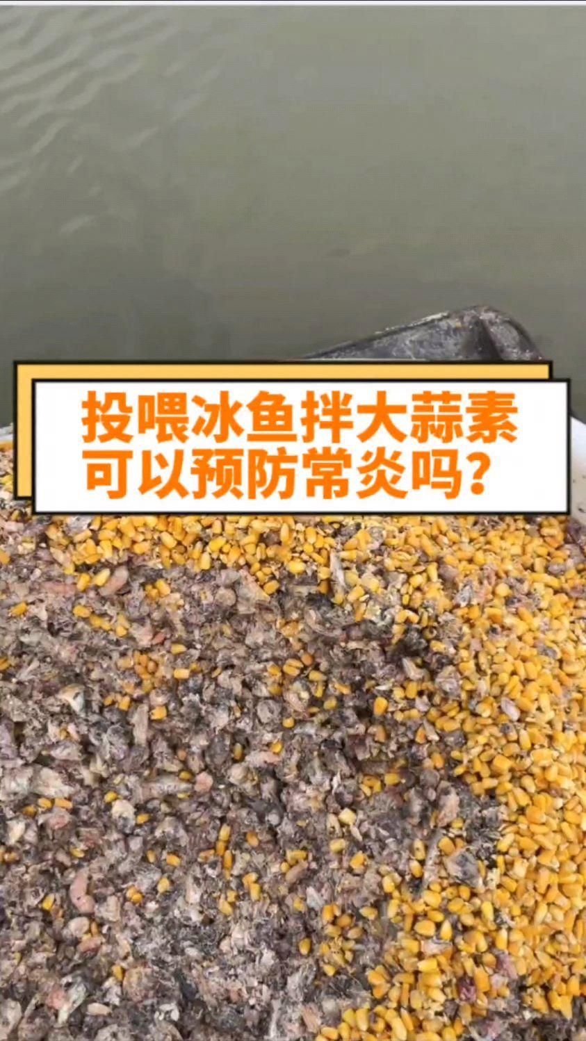 哪些藥物是預防魚腸炎的，哪些藥物可以預防魚腸炎