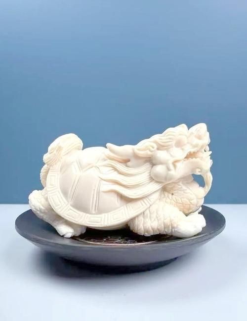 有沒有不同材質的龍龜圖片，探索龍龜的多樣材質之美