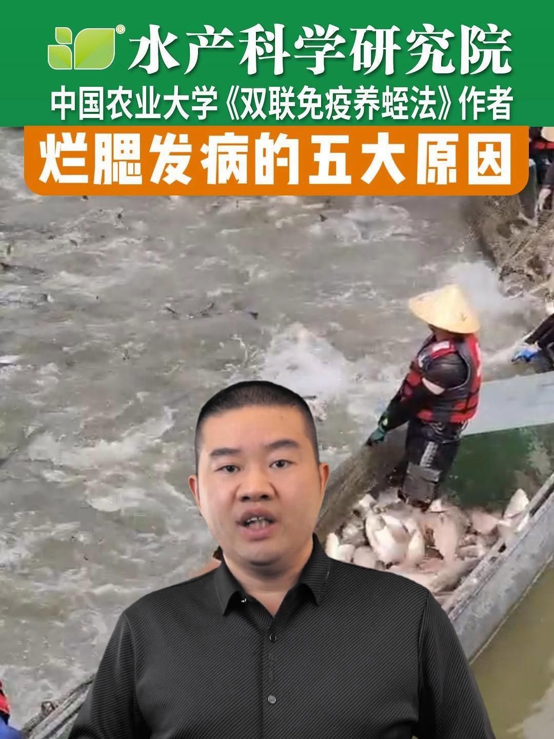 魚爛鰓是什么原因，全民小視頻:魚爛鰓常見的五大原因,你都知道嗎 魚爛鰓是什么原因，全民小視頻:魚爛鰓常見的五大原因,你都知道嗎 龍魚百科 第1張