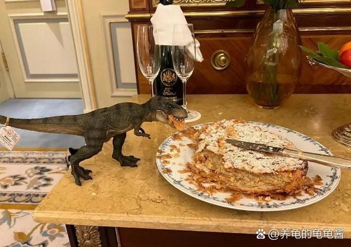 杰西卡恐龍魚的最佳喂食時間,杰西卡恐龍魚最佳喂食實拍圖、視頻教程及專家建議 龍魚百科 第3張 杰西卡恐龍魚的最佳喂食時間,杰西卡恐龍魚最佳喂食實拍圖、視頻教程及專家建議 杰西卡恐龍魚的最佳喂食時間,杰西卡恐龍魚最佳喂食實拍圖、視頻教程及專家建議 龍魚百科 第3張