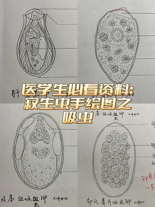 如何預防魚寄生蟲感染，思考完成調用工具arxiv論文助手 如何預防魚寄生蟲感染，思考完成調用工具arxiv論文助手 龍魚百科 第4張