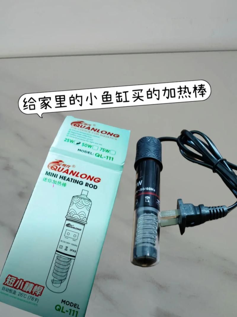 如何維持豐寧龍魚的水溫穩(wěn)定，豐寧龍魚（scleropagesspp.scleropagesspp.）