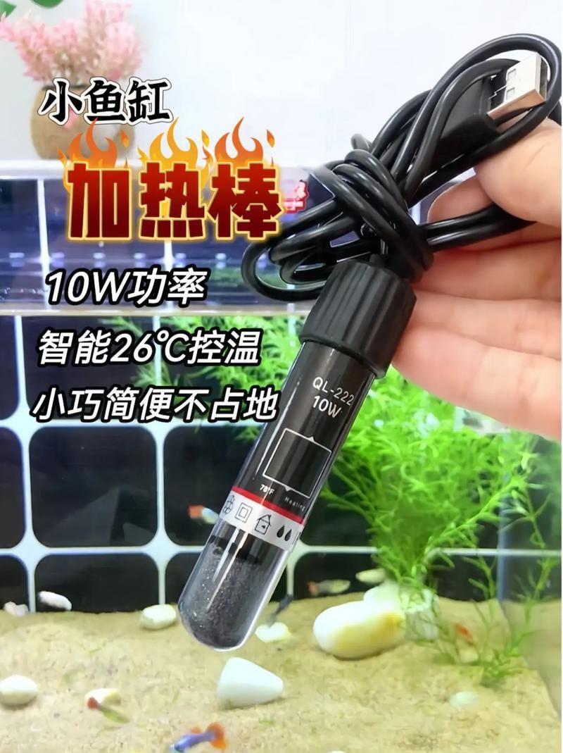 如何維持豐寧龍魚的水溫穩(wěn)定，豐寧龍魚（scleropagesspp.scleropagesspp.）