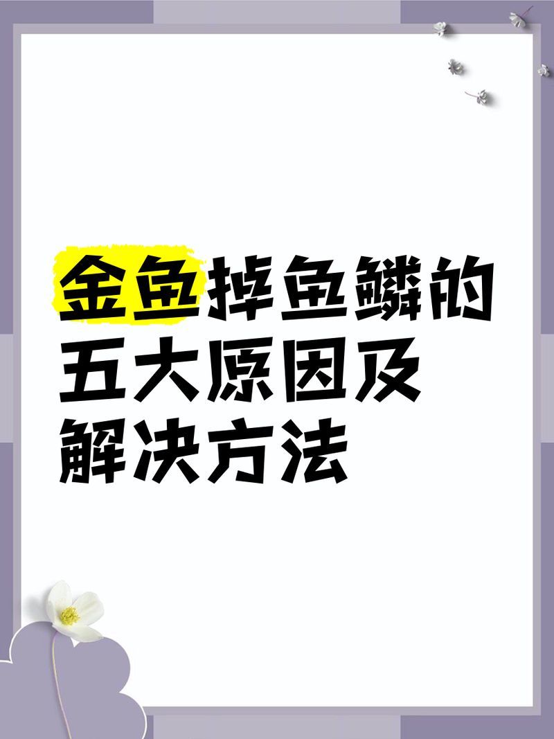 金魚魚鱗掉了會不會感染細菌，金魚魚鱗掉了會自愈嗎