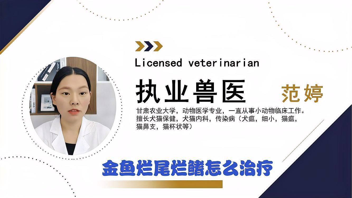 金魚爛尾病多久能治好，金魚爛尾病會自愈嗎，如何預防金魚爛尾病復發(fā) 金魚爛尾病多久能治好，金魚爛尾病會自愈嗎，如何預防金魚爛尾病復發(fā) 龍魚百科 第2張