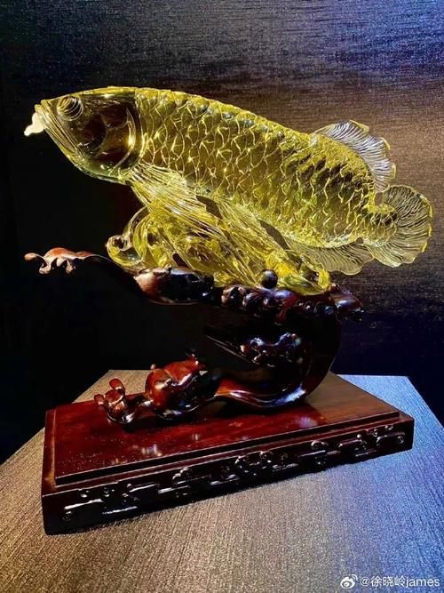 龍魚飾品有哪些款式 龍魚百科 第10張 龍魚飾品有哪些款式 龍魚飾品有哪些款式 龍魚百科 第10張