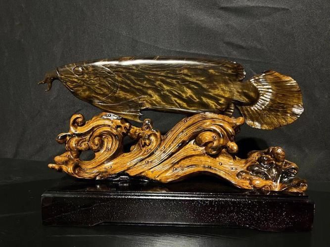 龍魚飾品有哪些款式 龍魚百科 第15張 龍魚飾品有哪些款式 龍魚飾品有哪些款式 龍魚百科 第15張