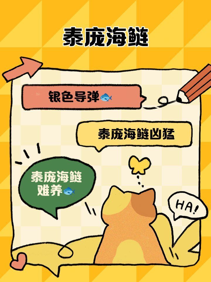 泰龐海鰱魚，龐海鰱魚，學名pangasiusspp