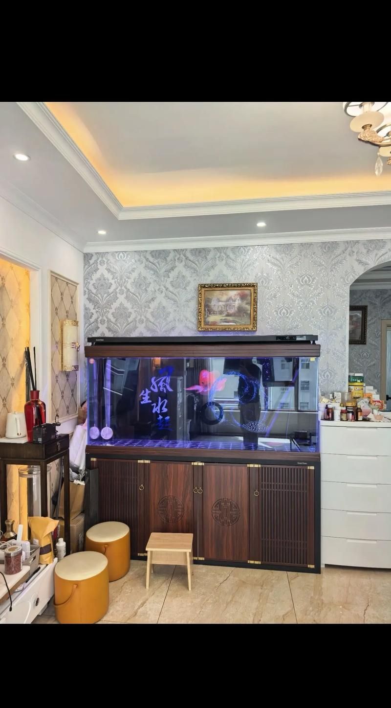 如何判斷一個龍魚缸品牌是否高端?,判斷一個龍魚缸品牌是否高端品牌是否高端,核心在于 龍魚百科 第4張 如何判斷一個龍魚缸品牌是否高端?,判斷一個龍魚缸品牌是否高端品牌是否高端,核心在于 如何判斷一個龍魚缸品牌是否高端?,判斷一個龍魚缸品牌是否高端品牌是否高端,核心在于 龍魚百科 第4張