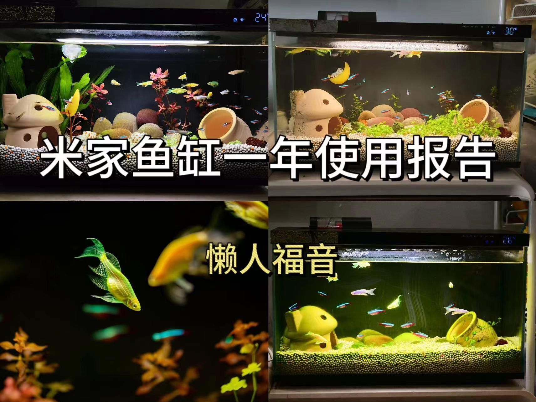 如何判斷一個魚缸的品牌好壞？，一個魚缸品牌的好壞可以從多個角度進行評估以下關鍵點 如何判斷一個魚缸的品牌好壞？，一個魚缸品牌的好壞可以從多個角度進行評估以下關鍵點 龍魚百科 第16張