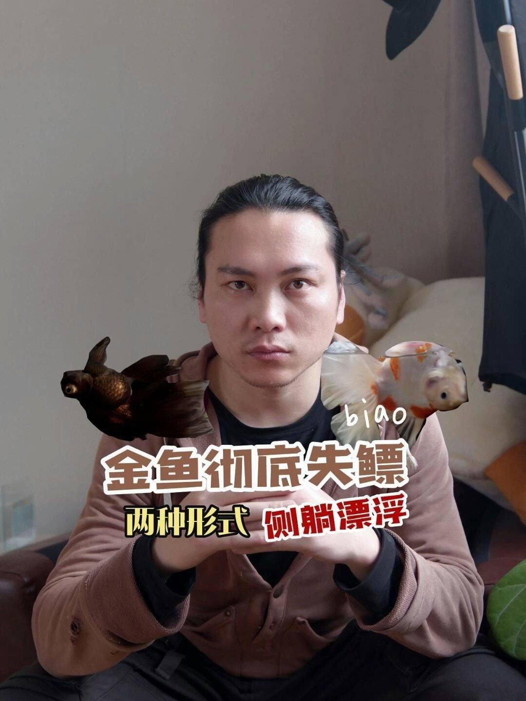 如何判斷魚是否失鰾，如何判斷魚是否失鰾（魚鰾功能障礙） 如何判斷魚是否失鰾，如何判斷魚是否失鰾（魚鰾功能障礙） 龍魚百科 第2張