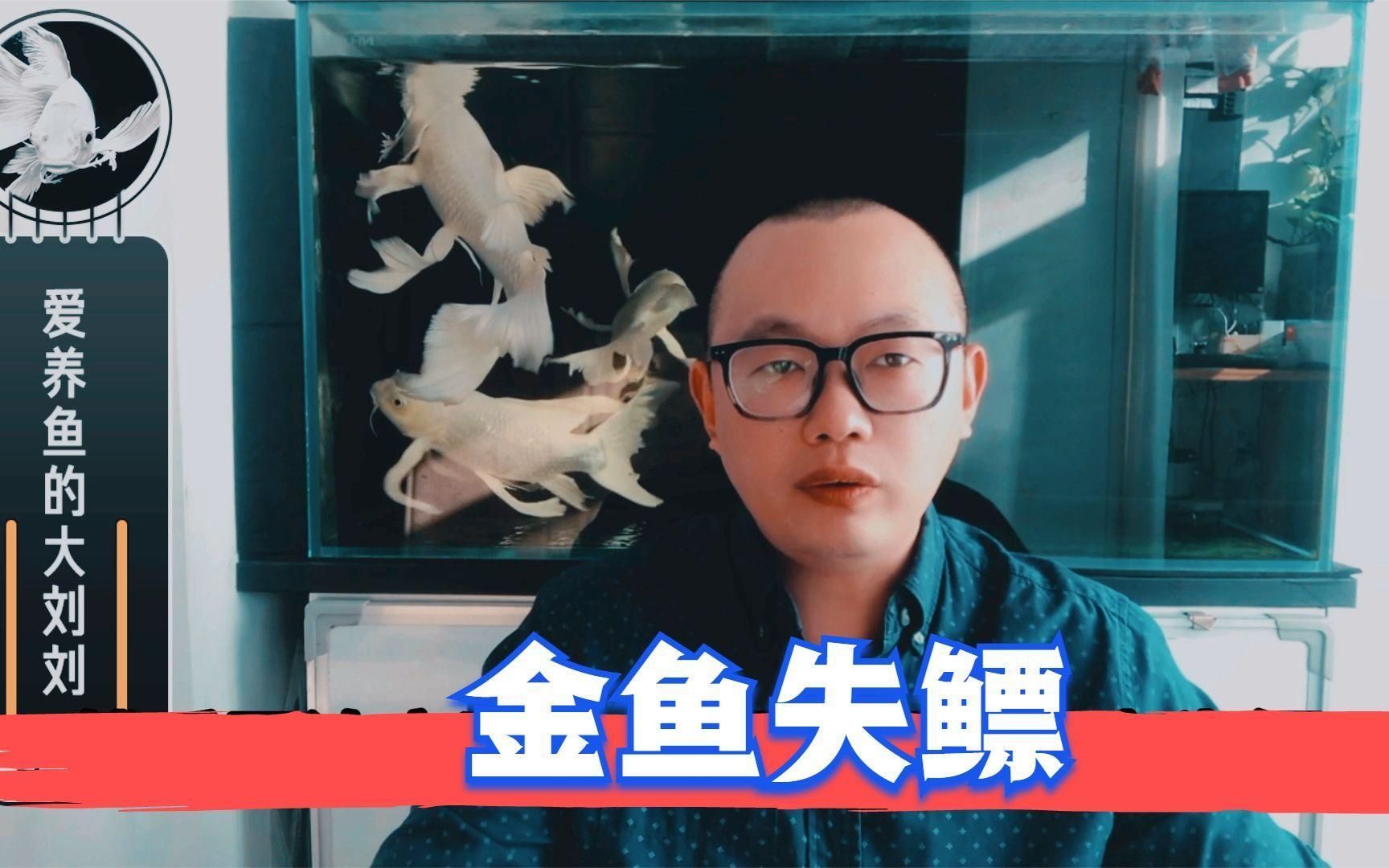 如何判斷魚是否失鰾，如何判斷魚是否失鰾（魚鰾功能障礙） 如何判斷魚是否失鰾，如何判斷魚是否失鰾（魚鰾功能障礙） 龍魚百科 第3張