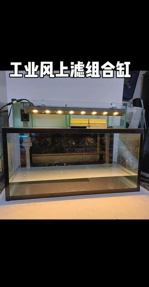 有哪些魚缸材質可選，亞克力魚缸材質的選擇對水質和魚類健康至關重要