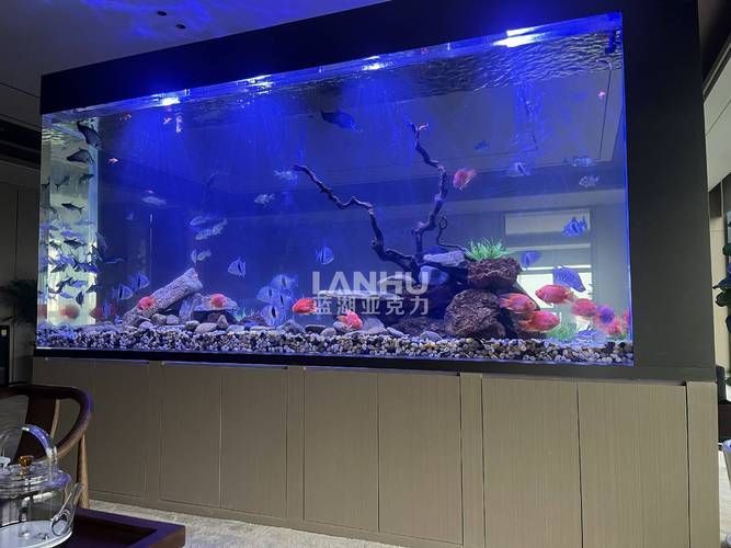 有哪些魚缸材質可選，亞克力魚缸材質的選擇對水質和魚類健康至關重要