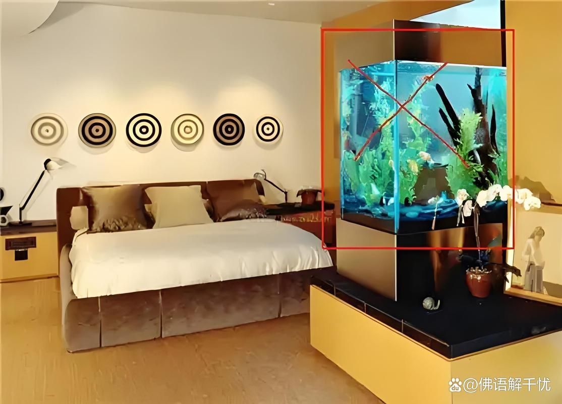 魚缸位置風(fēng)水示意圖有哪些 魚缸位置風(fēng)水示意圖有哪些 龍魚百科 第13張