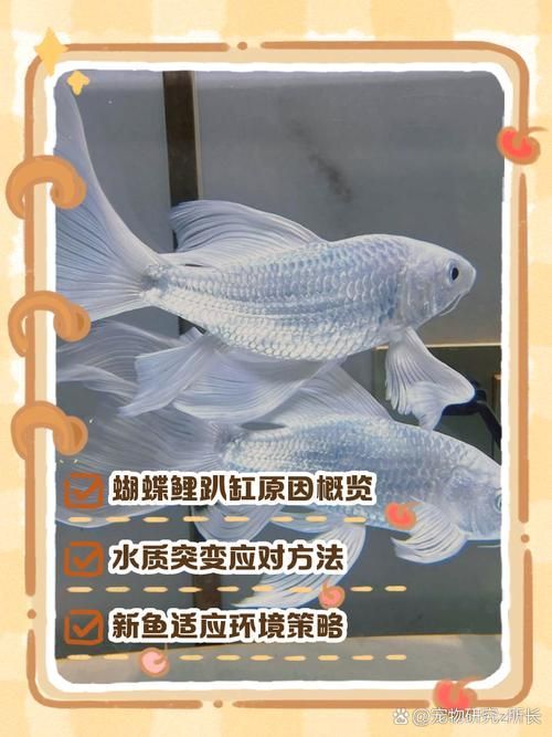 如何預防金魚趴缸底，北京地區冬季金魚趴缸底的成因與預防