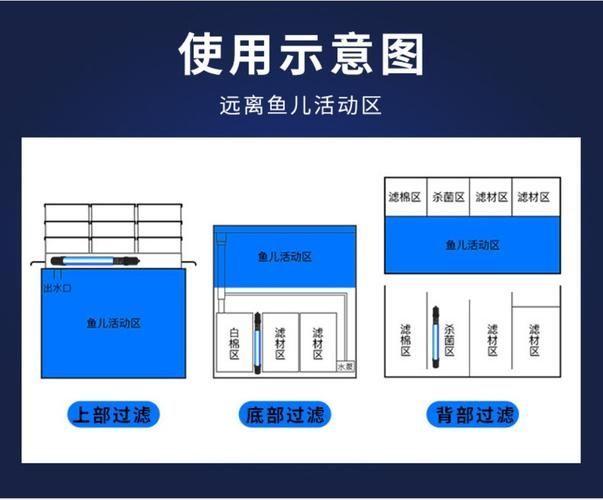 龍魚真菌病如何預防，龍魚真菌病預防