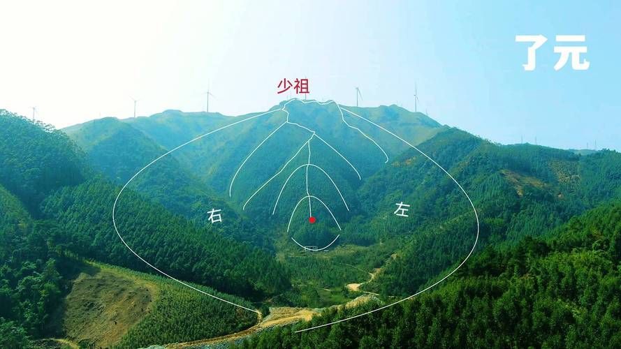 再給我幾個著名的生龍風水案例，生龍風水案例