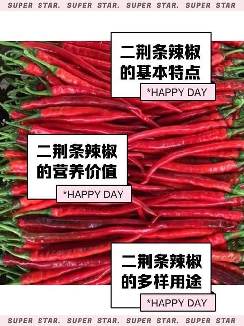 有哪些常見的綠皮辣椒紅龍偽品?,新疆天椒紅安公司紅安公司紅安公司紅安公司紅安公司紅安公司紅安公司紅安公司紅安公司 龍魚百科 第4張 有哪些常見的綠皮辣椒紅龍偽品?,新疆天椒紅安公司紅安公司紅安公司紅安公司紅安公司紅安公司紅安公司紅安公司紅安公司 有哪些常見的綠皮辣椒紅龍偽品?,新疆天椒紅安公司紅安公司紅安公司紅安公司紅安公司紅安公司紅安公司紅安公司紅安公司 龍魚百科 第4張