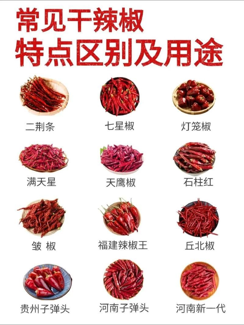 有哪些常見的綠皮辣椒紅龍偽品?,新疆天椒紅安公司紅安公司紅安公司紅安公司紅安公司紅安公司紅安公司紅安公司紅安公司 龍魚百科 第1張 有哪些常見的綠皮辣椒紅龍偽品?,新疆天椒紅安公司紅安公司紅安公司紅安公司紅安公司紅安公司紅安公司紅安公司紅安公司 有哪些常見的綠皮辣椒紅龍偽品?,新疆天椒紅安公司紅安公司紅安公司紅安公司紅安公司紅安公司紅安公司紅安公司紅安公司 龍魚百科 第1張