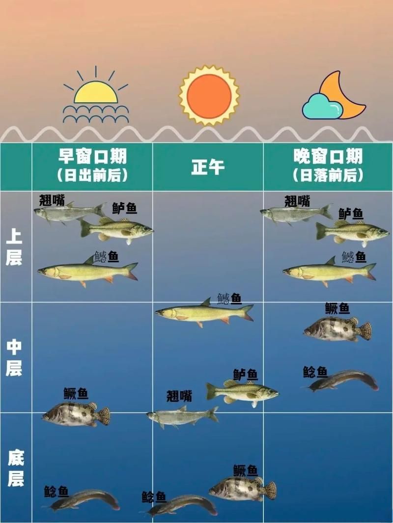 混養(yǎng)不同魚類時(shí)需要注意什么,混養(yǎng)魚類混養(yǎng)示意圖、水質(zhì)參數(shù)對(duì)照?qǐng)D文并茂的詳解 龍魚百科 第4張 混養(yǎng)不同魚類時(shí)需要注意什么,混養(yǎng)魚類混養(yǎng)示意圖、水質(zhì)參數(shù)對(duì)照?qǐng)D文并茂的詳解 混養(yǎng)不同魚類時(shí)需要注意什么,混養(yǎng)魚類混養(yǎng)示意圖、水質(zhì)參數(shù)對(duì)照?qǐng)D文并茂的詳解 龍魚百科 第4張