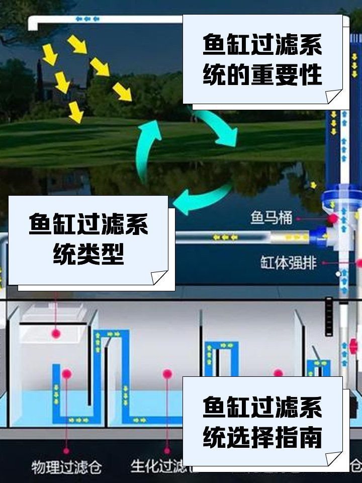 飼養龍魚需要哪些過濾系統？，大型龍魚缸過濾系統配置清單祥龍魚場app有哪些版本