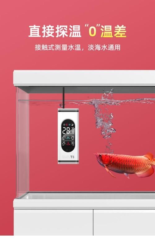 老魚匠有哪些熱門產品？ 老魚匠有哪些熱門產品？ 龍魚百科 第9張