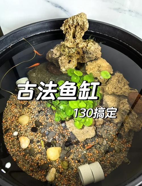 如何判斷一個龍魚缸的品牌價值?,如何判斷一個龍魚缸的品牌價值 龍魚百科 第2張 如何判斷一個龍魚缸的品牌價值?,如何判斷一個龍魚缸的品牌價值 如何判斷一個龍魚缸的品牌價值?,如何判斷一個龍魚缸的品牌價值 龍魚百科 第2張