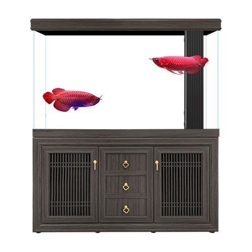 有哪些知名的龍魚缸品牌？，知名的龍魚缸品牌有哪些 有哪些知名的龍魚缸品牌？，知名的龍魚缸品牌有哪些 龍魚百科 第13張