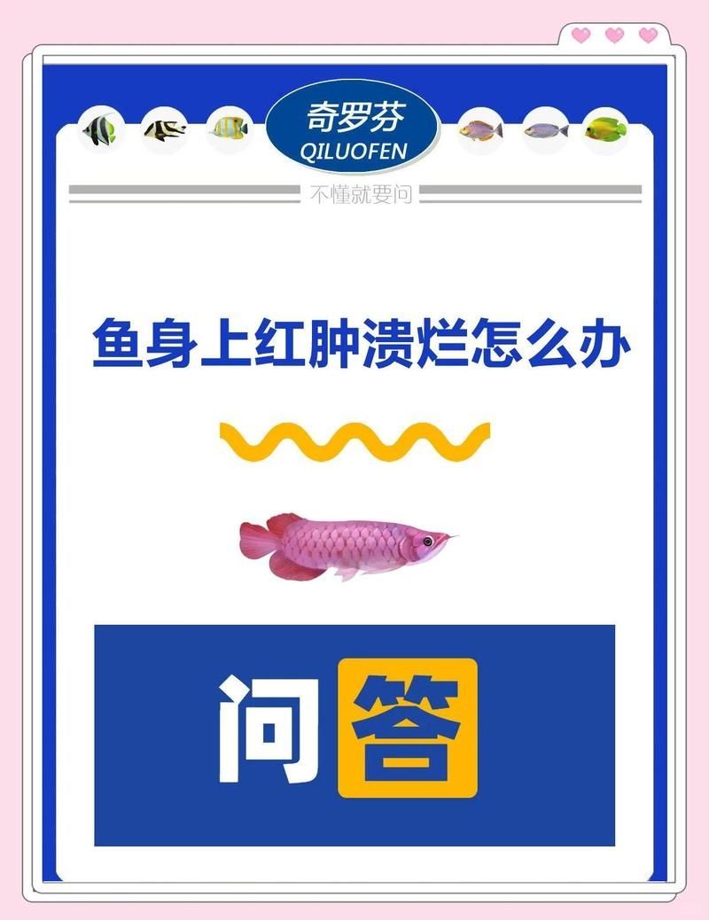 能給出更多預(yù)防魚體表潰爛的措施嗎，預(yù)防魚體表潰爛 能給出更多預(yù)防魚體表潰爛的措施嗎，預(yù)防魚體表潰爛 龍魚百科 第8張