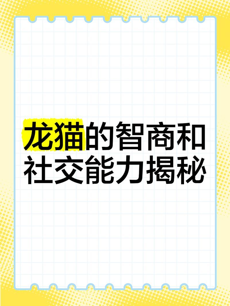 龍貓多久會(huì)忘記主人，龍貓多久會(huì)忘記主人的問(wèn)題，龍貓的記憶力揭秘星際戀愛(ài)季月島櫻子