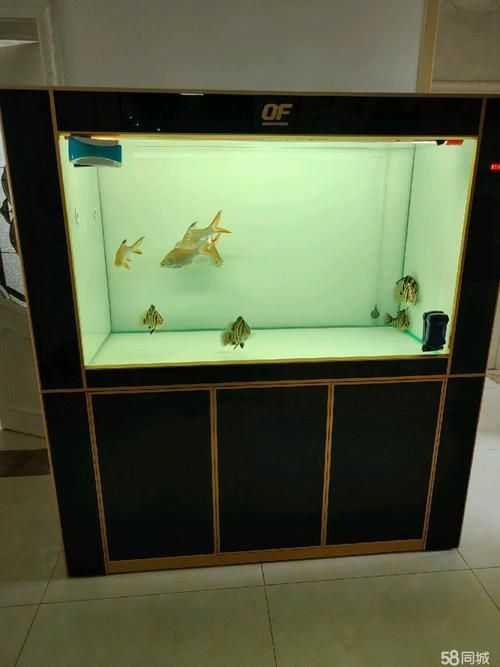 仟湖魚缸有哪些型號可選？，仟湖魚缸型號分類及特點