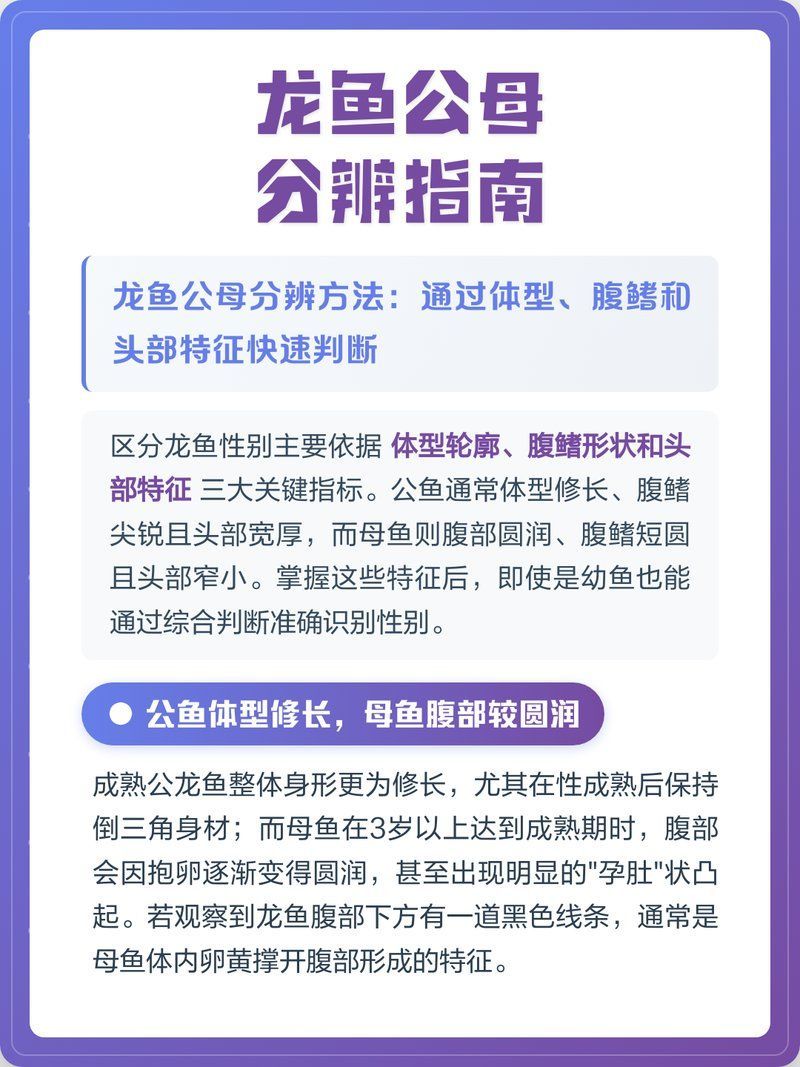 如何判斷龍魚(yú)公母？，龍魚(yú)公母分辨指南林綠柚,02:29龍魚(yú)性別大揭秘