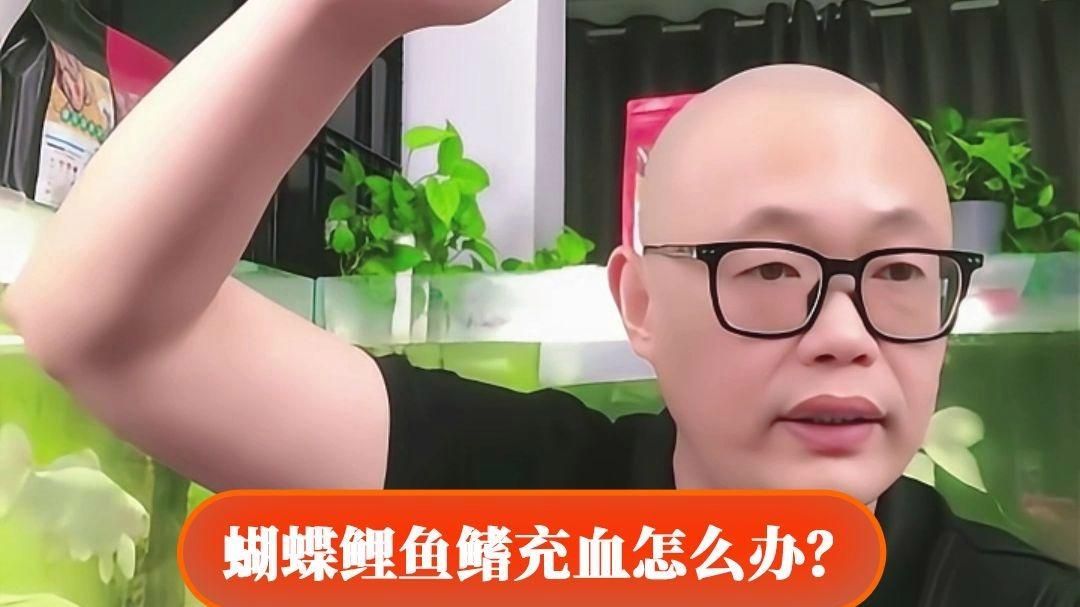 如何預(yù)防錦鯉再次充血，預(yù)防錦鯉再次充血的方法