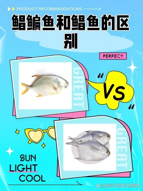 如何區分黃鰭鯧魚和其他魚類？，如何區分黃鰭鯧魚