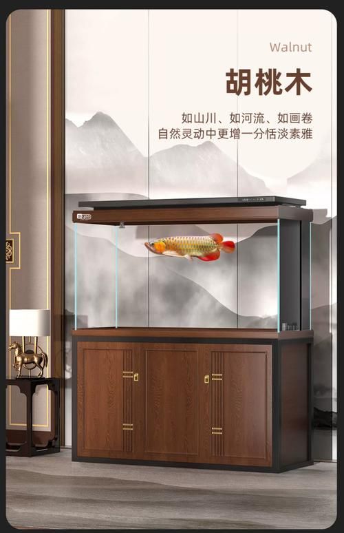 有哪些知名的龍魚魚缸品牌？，星點金龍魚幼魚如何護理？