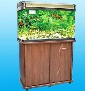 閩江品牌的中高端系列有哪些？，閩江品牌茶葉和茶具制造商、價(jià)格區(qū)間、設(shè)計(jì)特點(diǎn)介紹